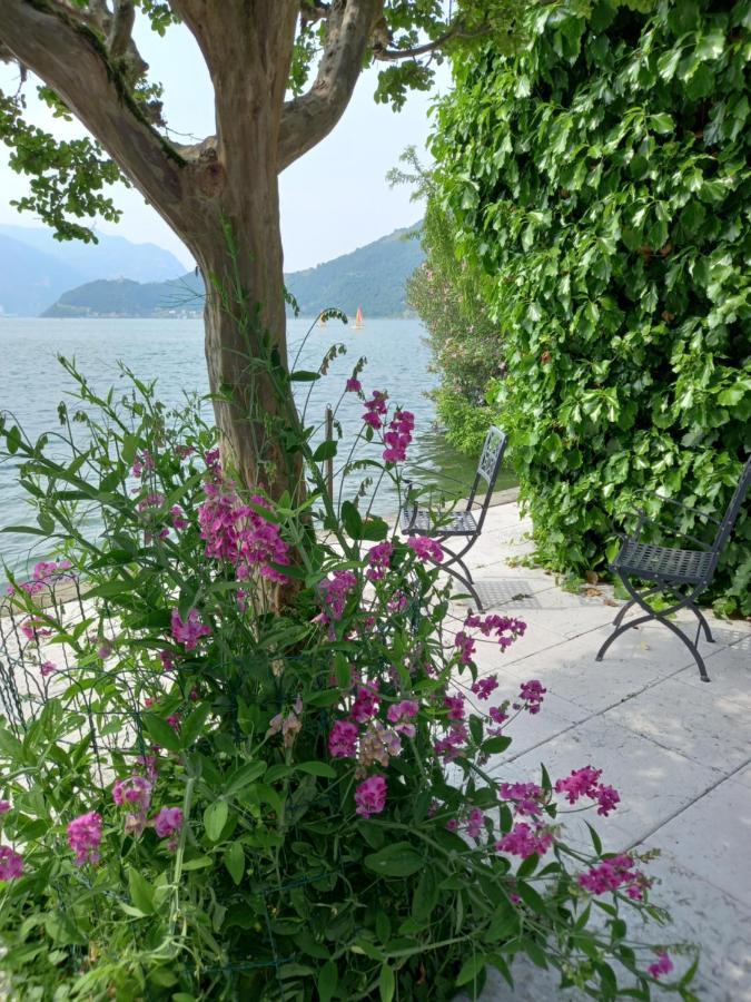 سولتسانو L'Oleandro Sul Lago D'Iseo B&B المظهر الخارجي الصورة