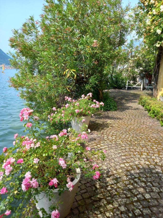 سولتسانو L'Oleandro Sul Lago D'Iseo B&B المظهر الخارجي الصورة