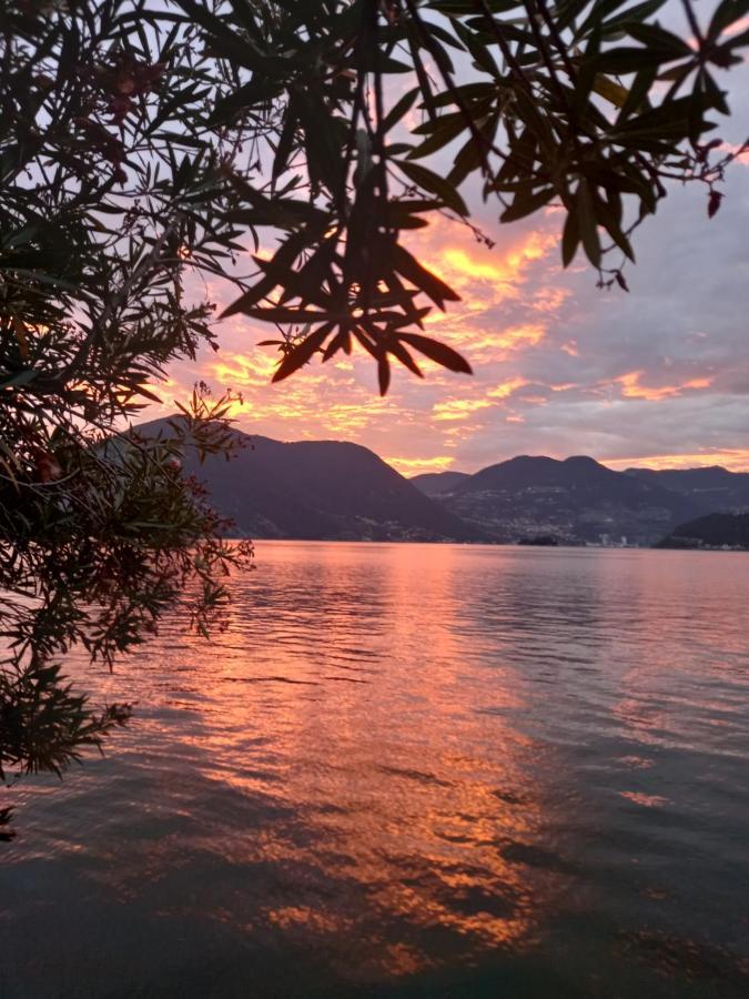 سولتسانو L'Oleandro Sul Lago D'Iseo B&B المظهر الخارجي الصورة