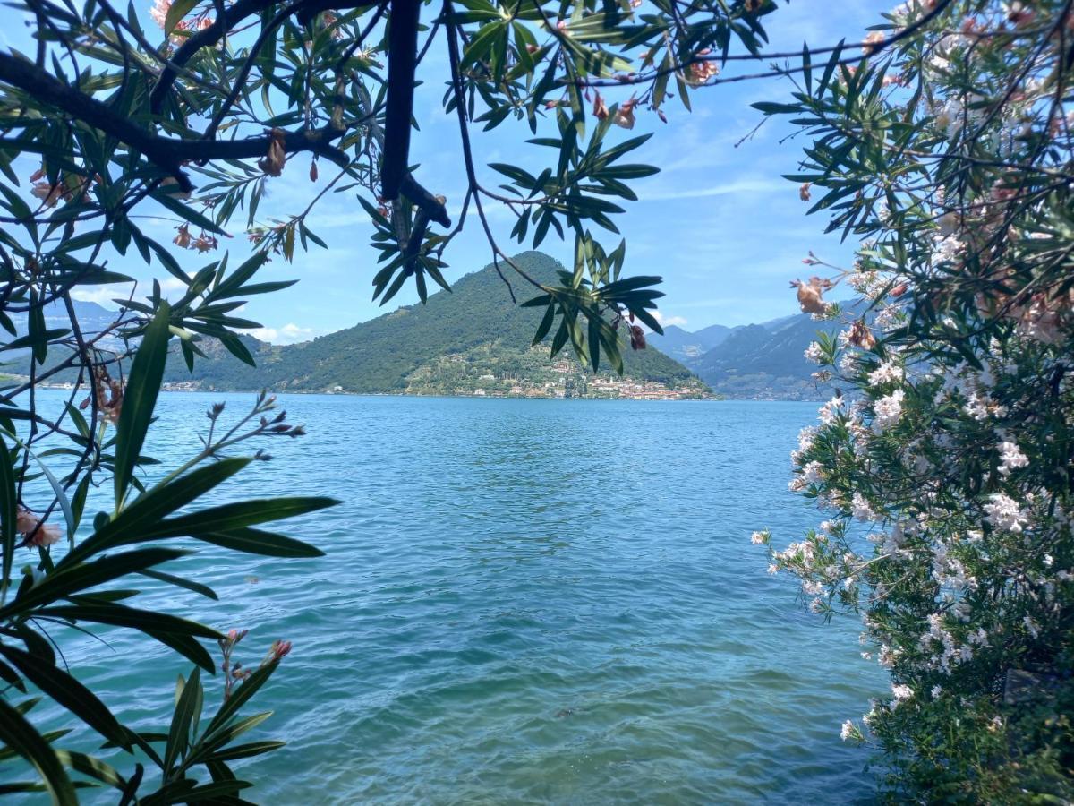 سولتسانو L'Oleandro Sul Lago D'Iseo B&B المظهر الخارجي الصورة
