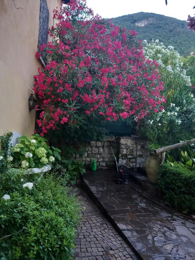 سولتسانو L'Oleandro Sul Lago D'Iseo B&B المظهر الخارجي الصورة